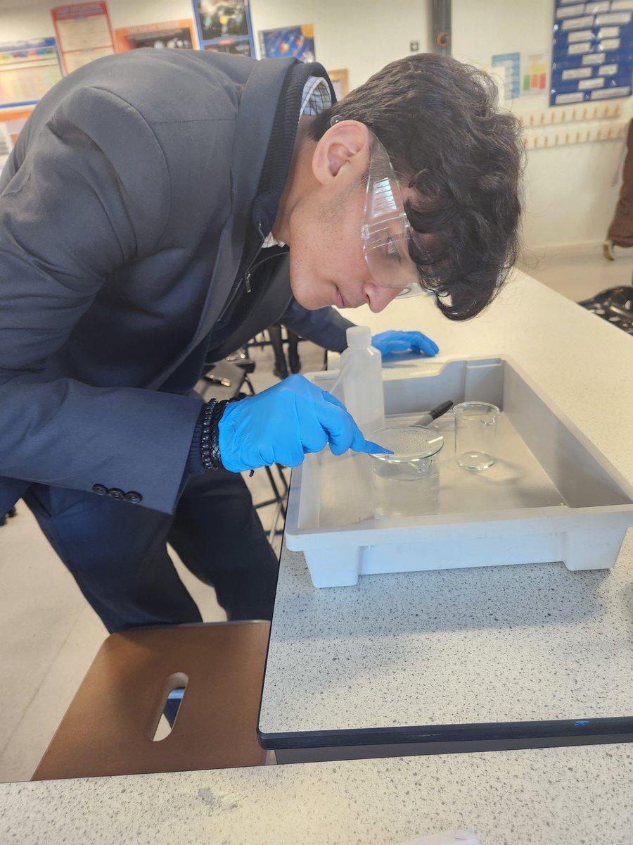 Wexham_School's tweet image. Our 6th Form students, guided by Ms. Bains, are tackling the “Root Tip Squash” #practical to observe #mitosis — a detailed and fiddly task, but a great hands-on way to bring cell division to life! 🔬🌱
#wexhamschool
@Wexham_School