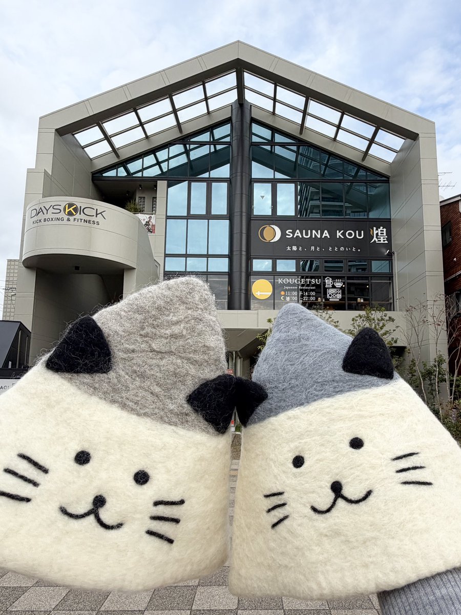 Saunya/サウニャ (@saunya20) / Posts / X