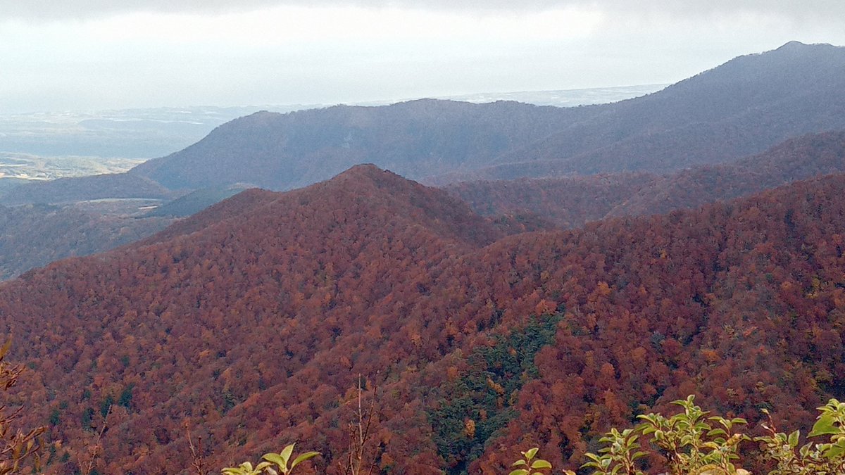 poisoncherry217's tweet photo. 大山(弥山)登って紅葉狩り
天気イマイチで(´Д｀)

からの鳥取砂丘🐫 https://t.co/I3GzxwNZHG