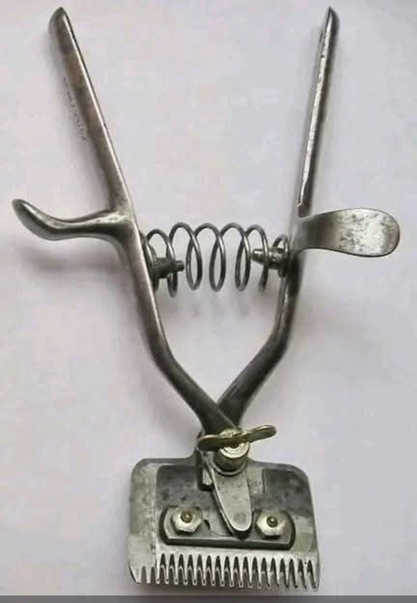 irakoze____'s tweet photo. umenga bakita #ingongo nimba ntihenze. hama ako bagafata mukiganza bakagakoresha kurya kw'umukasi ariko gusa koko urabona ko gafise ubugi nk'ubwimashini y'umuyagankuba.
Uwufise ayandi makuru ayaturushe π https://t.co/khARWUX6GT