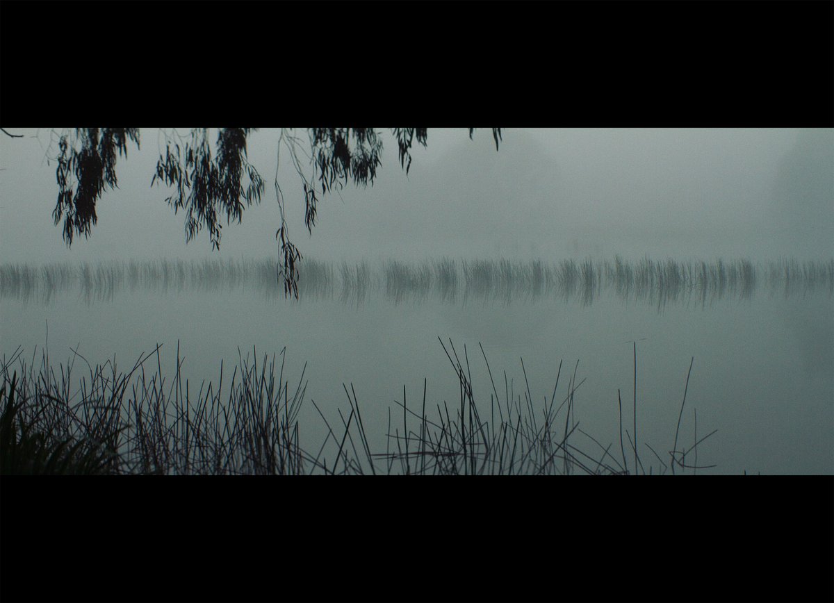 _ev's tweet image. The Bong Bong Reservoir - haunting at dawn in vintage Lomo anamorphic.
Tarkovsky inspired.