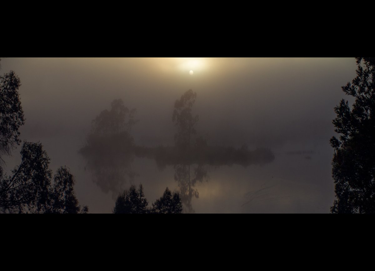 _ev's tweet image. The Bong Bong Reservoir - haunting at dawn in vintage Lomo anamorphic.
Tarkovsky inspired.