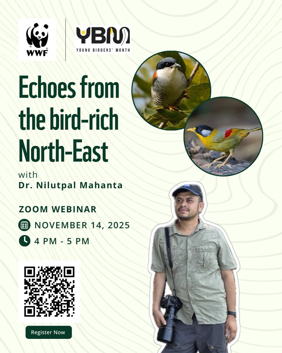 WWFINDIA's tweet photo. We’re back with another #YoungBirdersMonth webinar! Join Dr. Nilutpal Mahanta, ornithologist &amp; storyteller, for a journey through the vibrant birdlife of India’s North East.
📅 14 Nov | 🕓 4–5 PM | 💻 Zoom | Open to all
Register: https://t.co/xanUHtc5ly https://t.co/Emdud9rl1c
