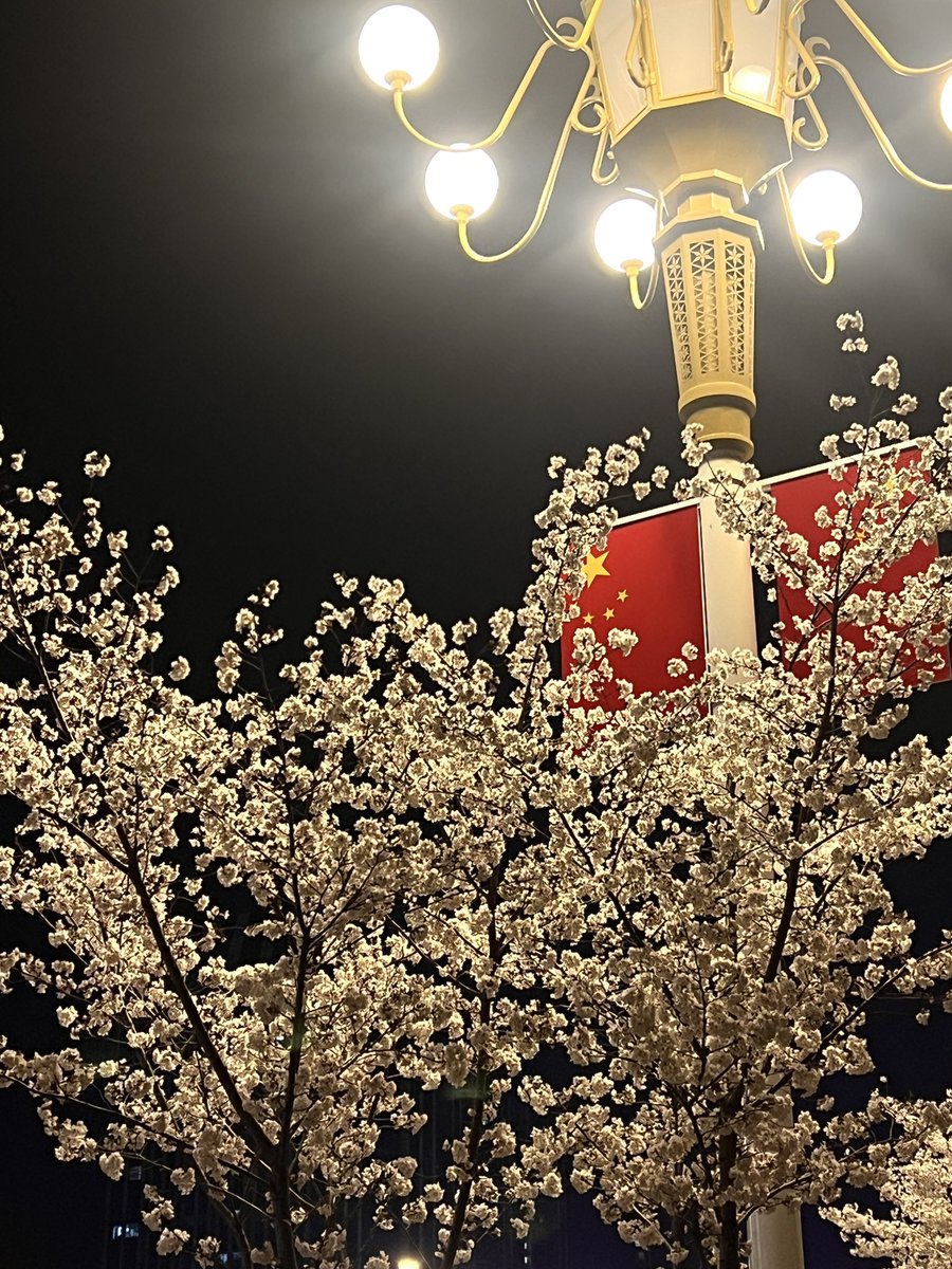 潍坊滴 tweet media