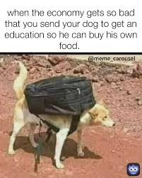 meow2you's tweet photo. Using his experience catching the mailman, Gonzo got a job as mall security after graduation. 🐶😁🐶😉
#NationalEducationDay
@ThePhilosopurr @GeneralCattis @HarryCatPurrs @LuminousNumino1 @TERRYW_UK @PeterRABBIT67 @briano29 @eliznoelle @EringoB02429272 https://t.co/2OnVirQoIs