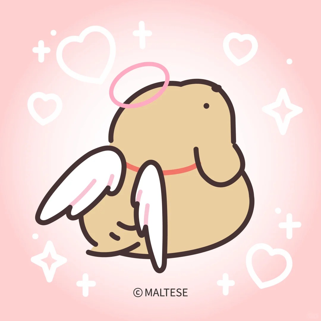 Maltese_TH's tweet image. ความสุขคือเจ้าหมาน้อยหนึ่งตัว✨
แต่เรามีถึงสองตัว! 🐶💖

#Maltese #Retriever #MalteseLovers #มอลทีส #รีทรีฟเวอร์
#น้องหมา #หมามอลทีส #หมา #ทาสหมา #น่ารัก #สดใส #maltese #สุนัข