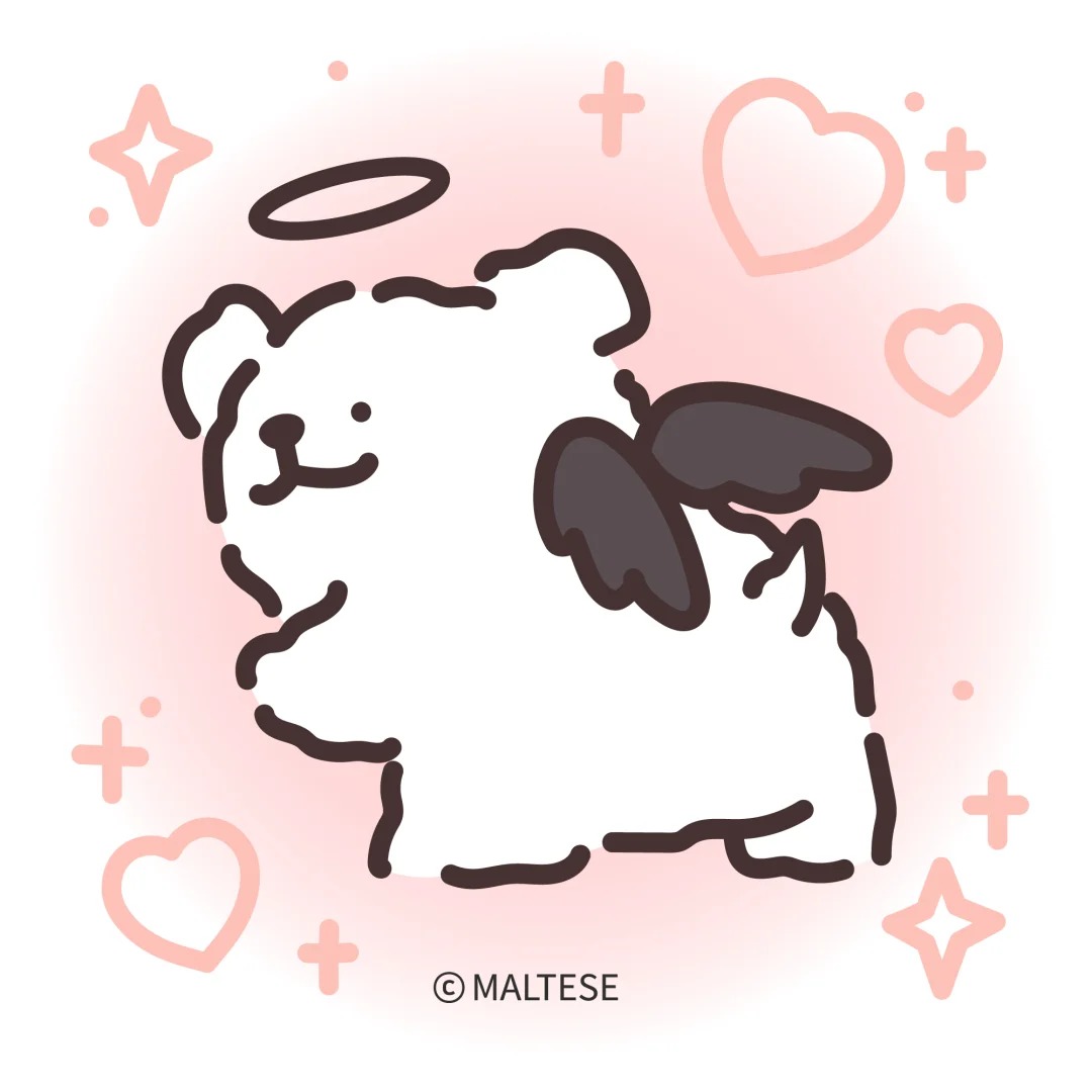 Maltese_TH's tweet image. ความสุขคือเจ้าหมาน้อยหนึ่งตัว✨
แต่เรามีถึงสองตัว! 🐶💖

#Maltese #Retriever #MalteseLovers #มอลทีส #รีทรีฟเวอร์
#น้องหมา #หมามอลทีส #หมา #ทาสหมา #น่ารัก #สดใส #maltese #สุนัข