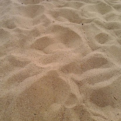 The idol                                        The fandom