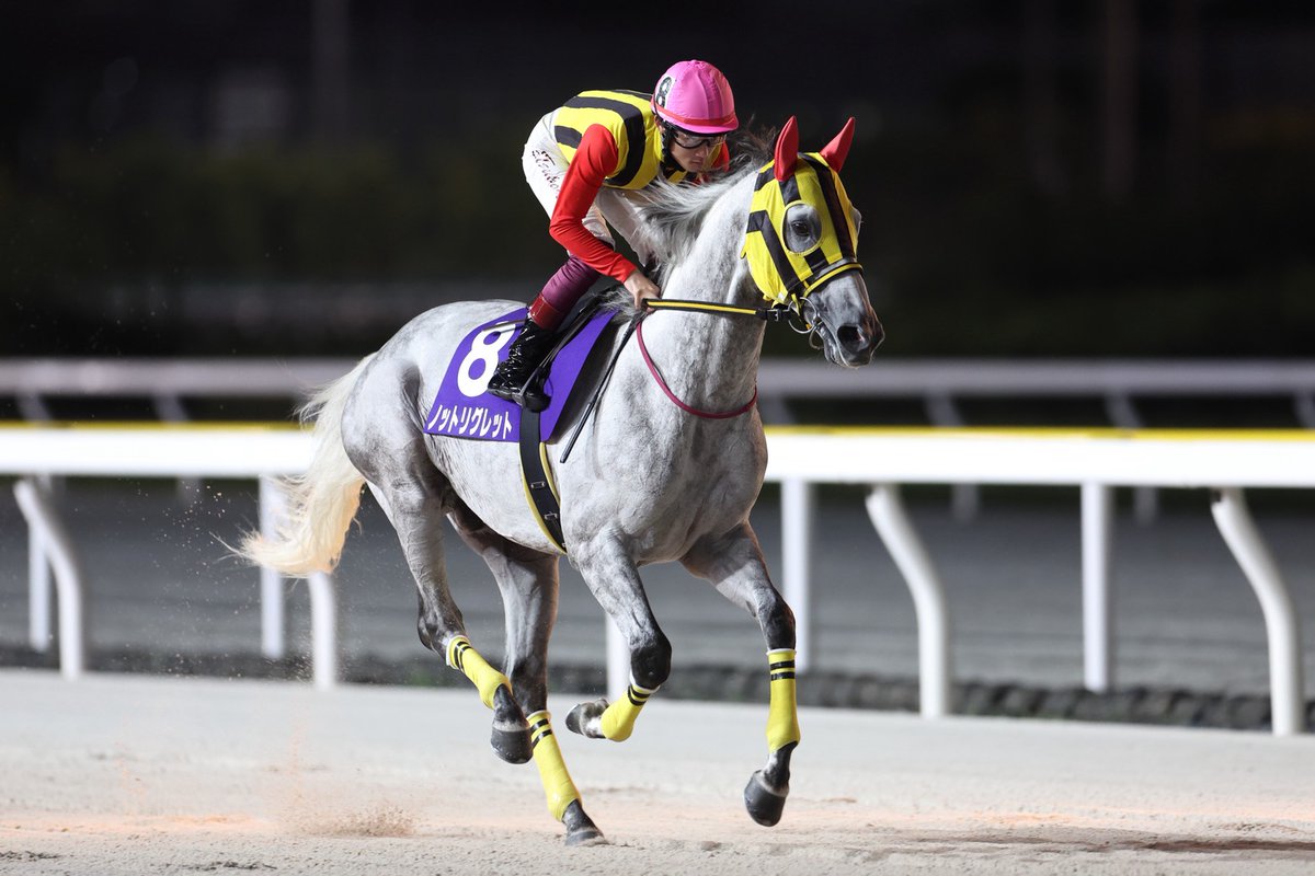 明日(11/13)の名古屋11Rは愛知県知事杯 東海菊花賞

3歳以上による地方全国交流重賞で、1着馬に名古屋大賞典（12/24、名古屋）の優先出走権が与えられるトライアル🔥

船橋からは #ノットリグレット ( #廣瀬航 騎手　#川島正一 厩舎)が参戦⚔️

重賞初勝利を目指します🏇

発走は20:00予定🗓️