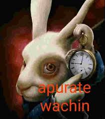 アグリフェ tweet media