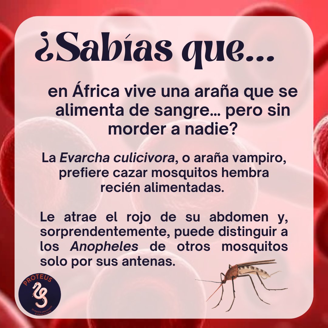 🕷️🦟 Descubre más sobre esta historia en el Capítulo VIII de #PodcastProteus

👉 Disponible en las principales plataformas.
go.ivoox.com/rf/161525290