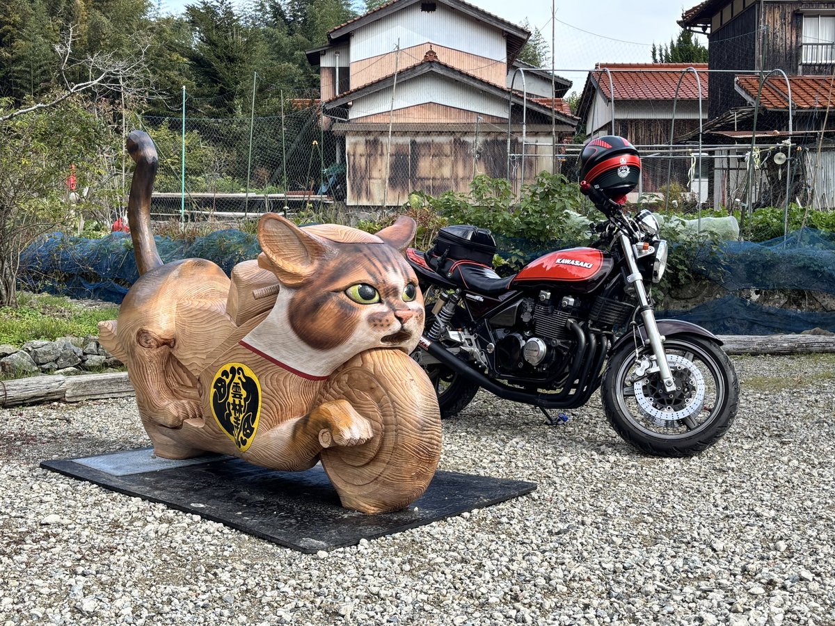 赤猫 今日はソロツー🏍️³₃ 萩のネコ寺＠nekoma40 雲林寺さんへ行って来まし