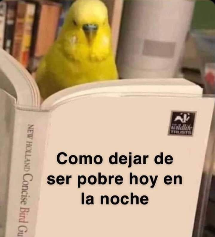 En Júpiter (@en_jupiter_) on Twitter photo 