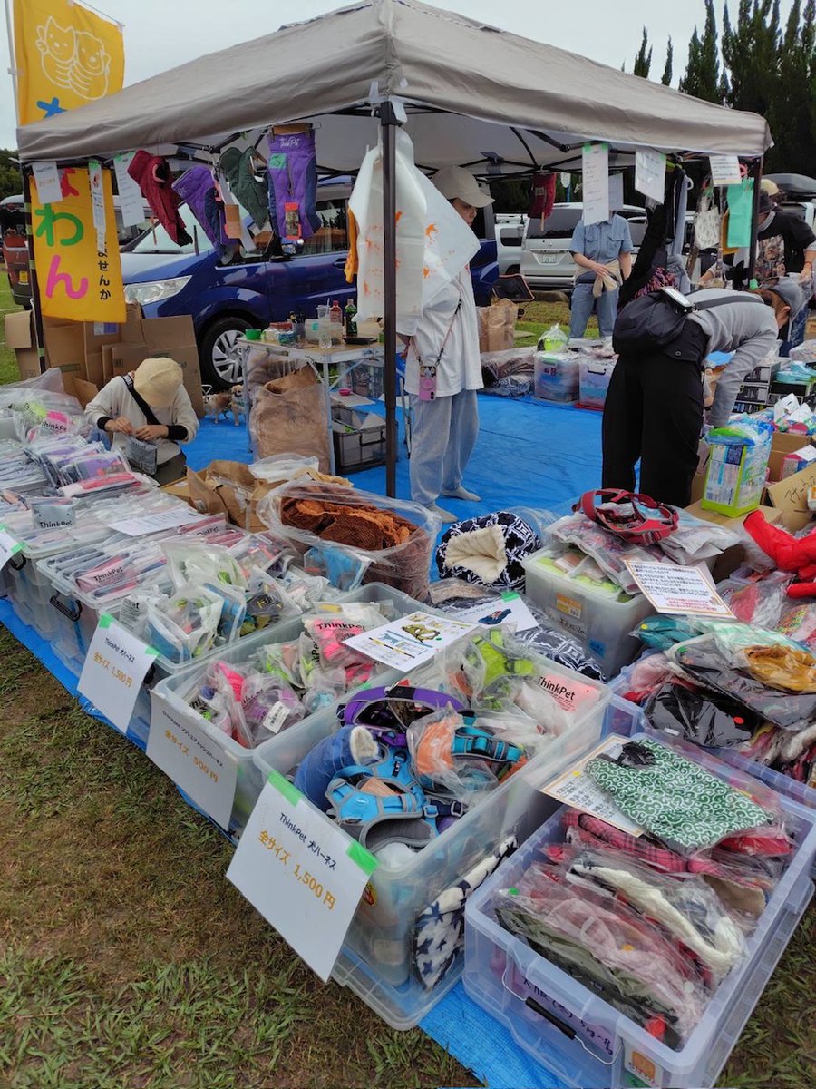 ちばわん(犬猫保護) tweet media