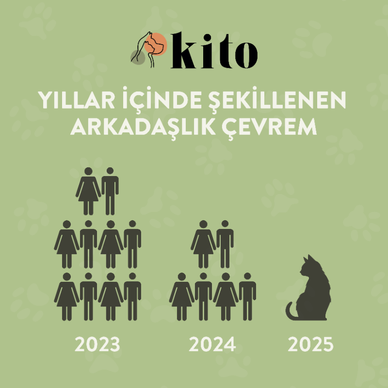 Kito Pet Food tweet media