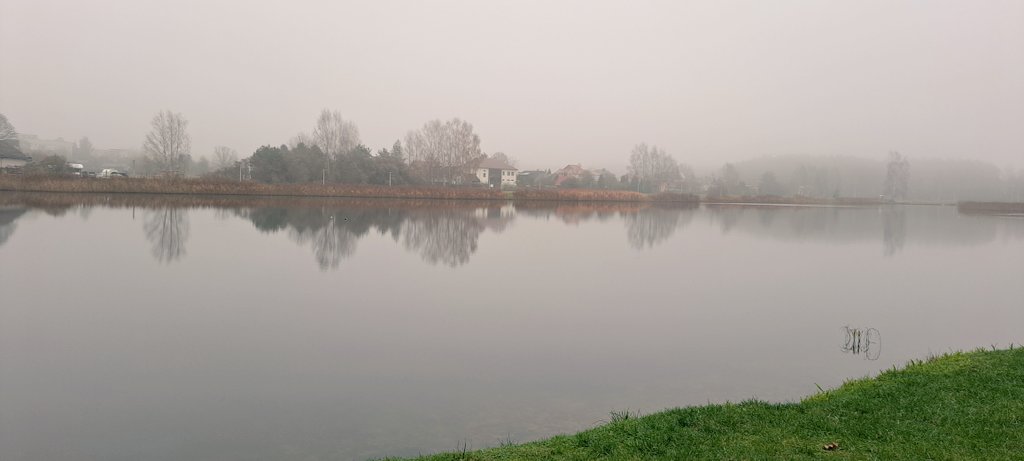 Finca Las Moras (@fincanamore) on Twitter photo 