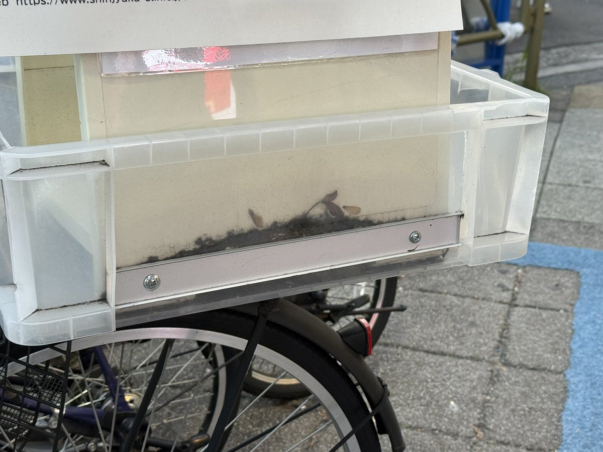 Hibiki様ご確認ページ ひびき on X