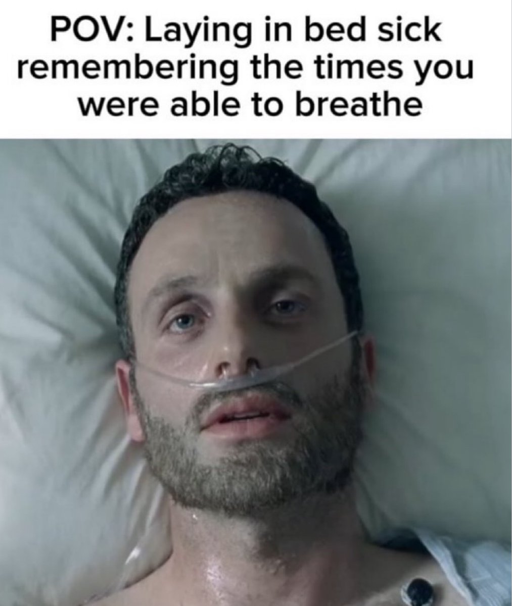 RespectfulMemes's tweet photo. https://t.co/DpkVEqkaR0