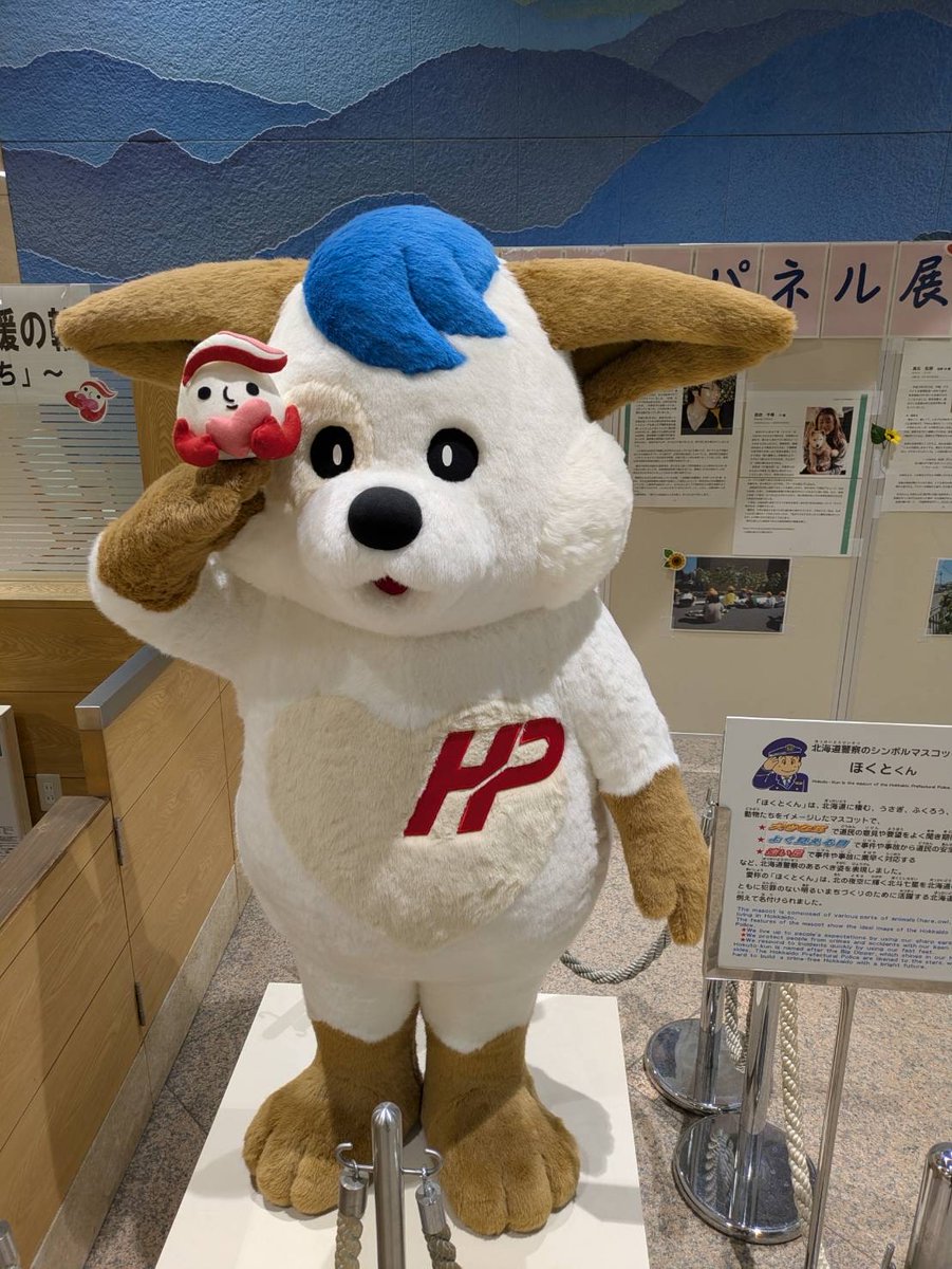 ギュっとちゃんより～ #北海道 で支援する人たちが集まる研修会に行っ