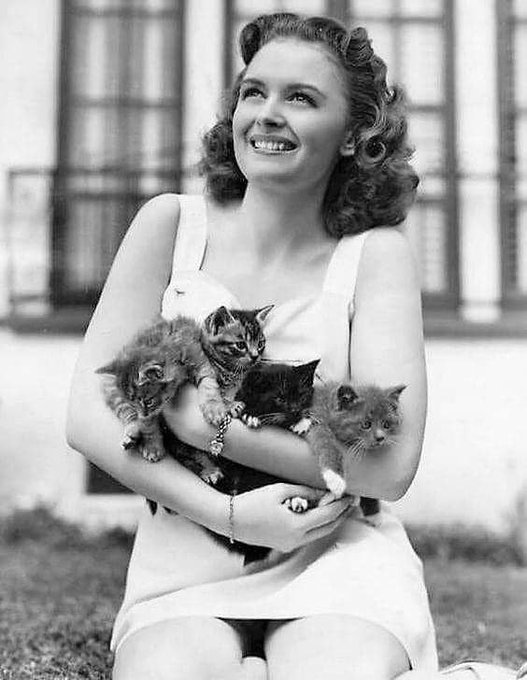 Noirchick In Old Hollywood tweet media