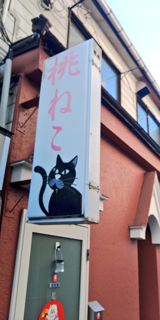 桃ねこto雪風openしました 週の真ん中水曜日 楽しく飲みませんか