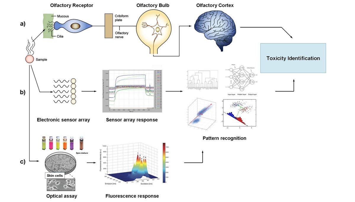 Measuring Physicochemical Parameters from University of Leicester! #BigData #Analytics #DataScience #AI #MachineLearning #IoT #IIoT #PyTorch #Python #RStats #TensorFlow #Java #ReactJS #GoLang #CloudComputing #Serverless #DataScientist #Linux #Programming #Coding #100DaysofCode