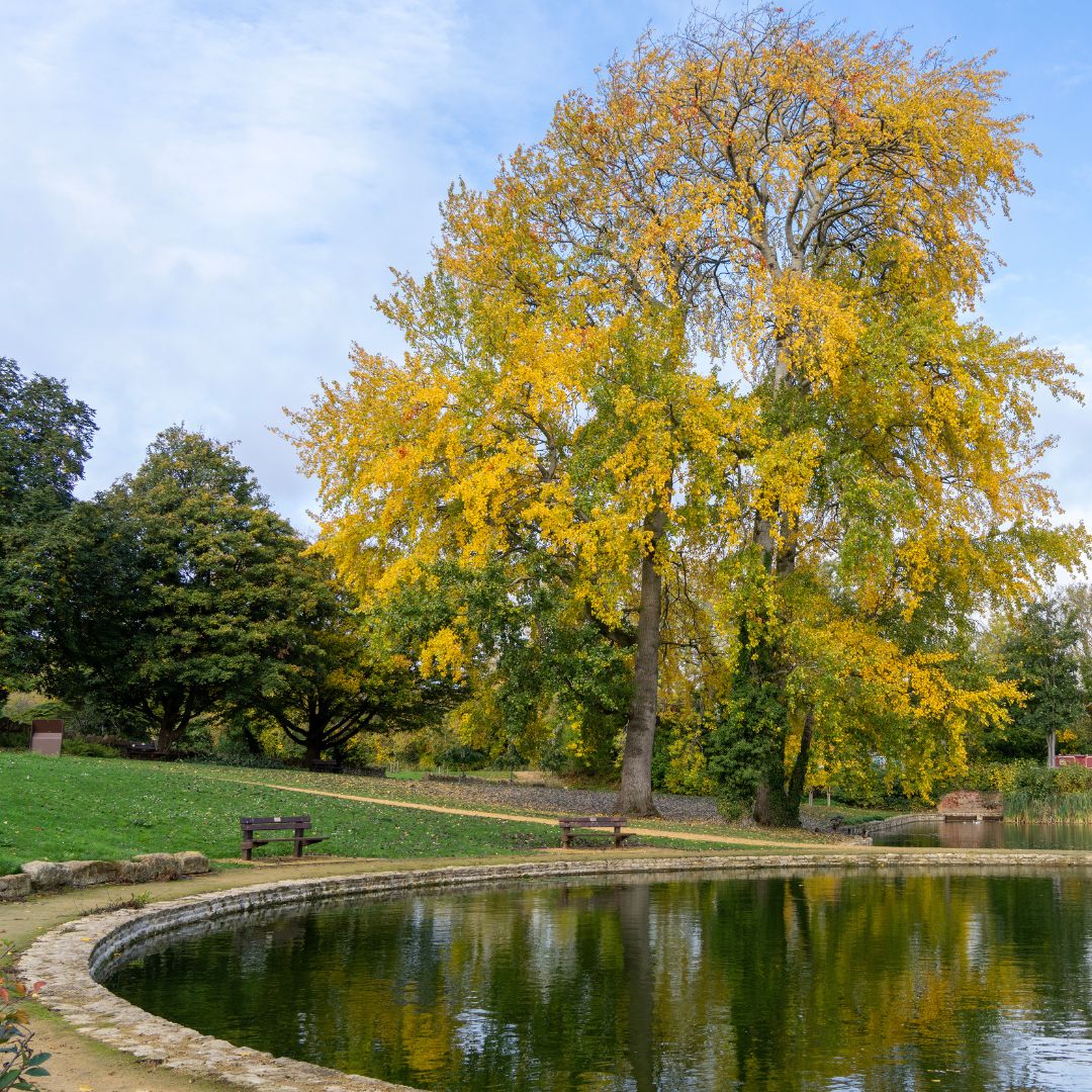 The Parks Trust tweet media