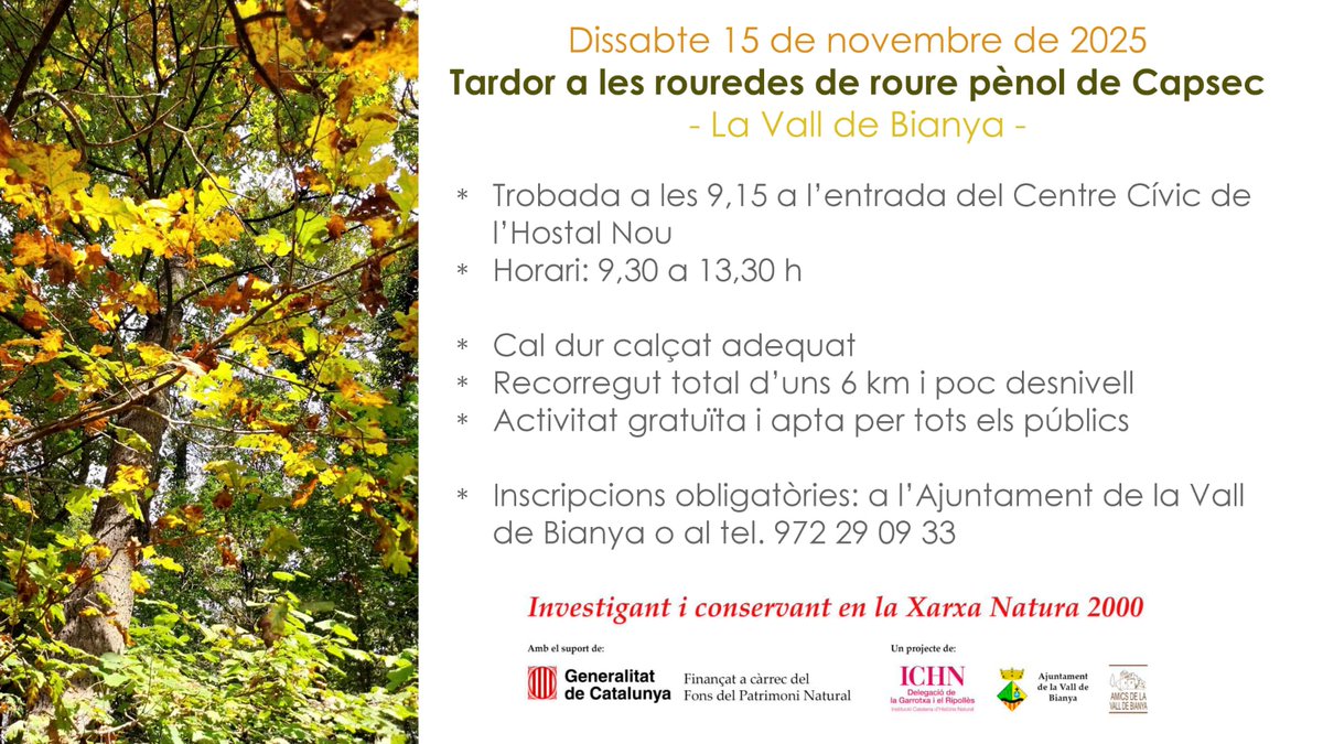 Aquest proper dissabte, descobrim la tardor i els seus colors, a les rouredes de roure pènol de Capsec. Activitat gratuïta trucant a <a href="/valldebianya_aj/">Ajuntament de la Vall de Bianya</a>. <a href="/santireixach/">Santi Reixach</a>