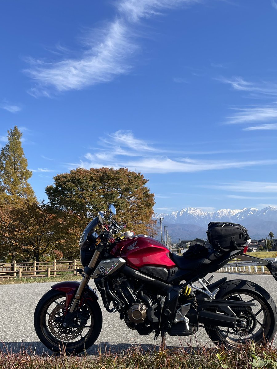 toshi (@s4zX7xL1ZUsj1lC) / Posts / X