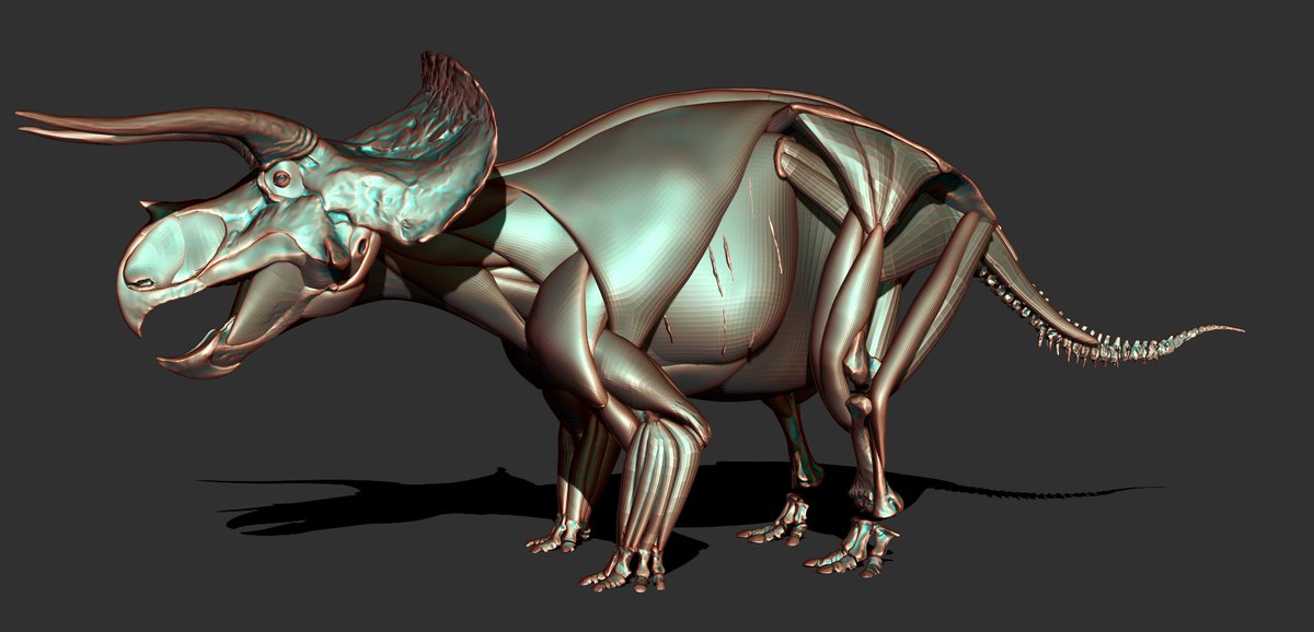 ArtofFabricious's tweet photo. "Hatcher" is coming along nicely. It's taking forever to place the muscles, but I'd much rather do this approach now than carve away at a bigger block. Bonus appearance by my puppy boy, Ankylosaurus (who needs finishing too). 1/20 scale print, anyone? We'll see. https://t.co/MParK9R12M