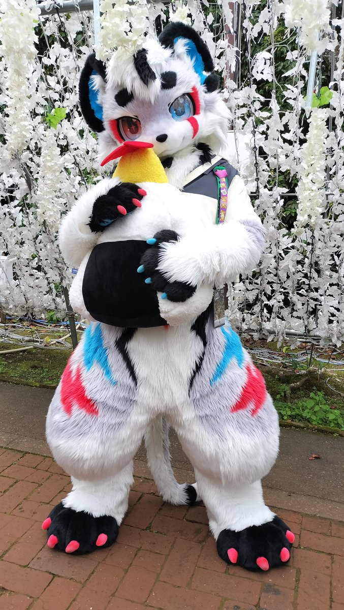 ニッチー (@MouseNitchi) / Posts / X