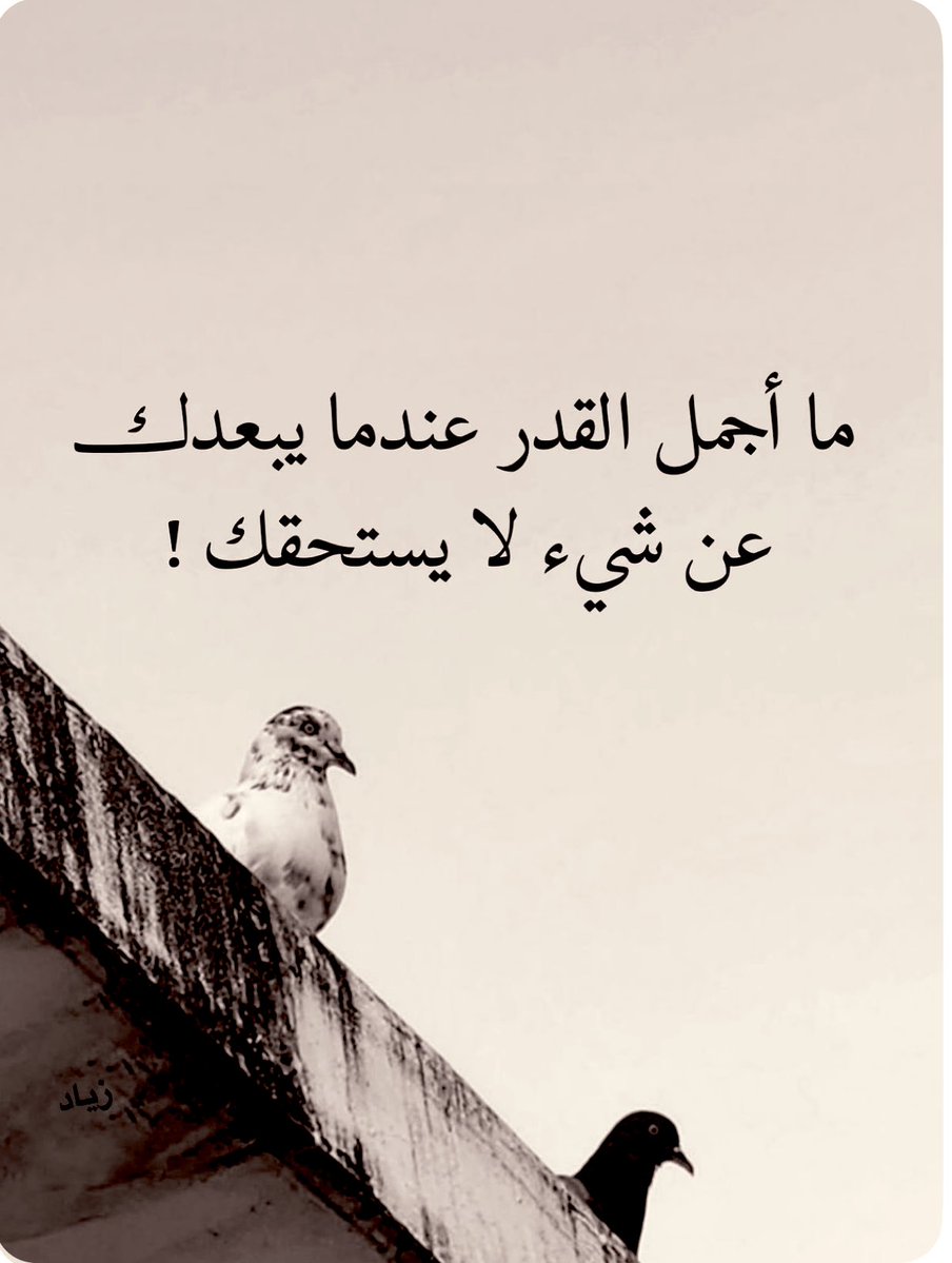 albinkhalil2010's tweet image. 