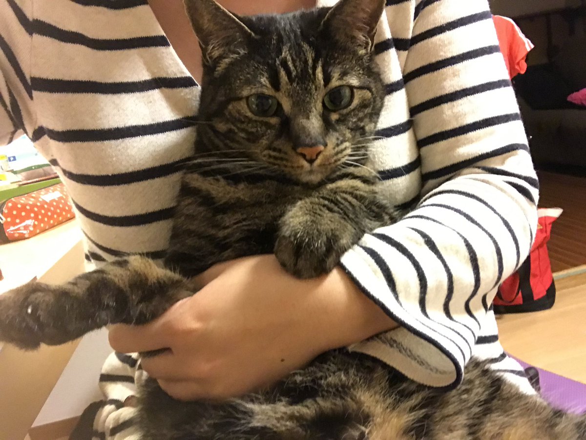 Momoko Iijima tweet media