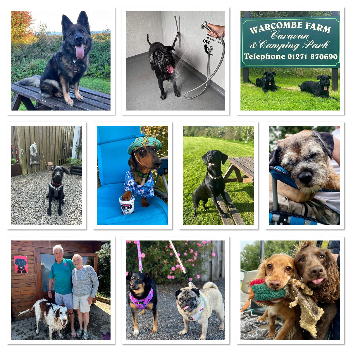 Warcombe Farm Camping Park tweet media