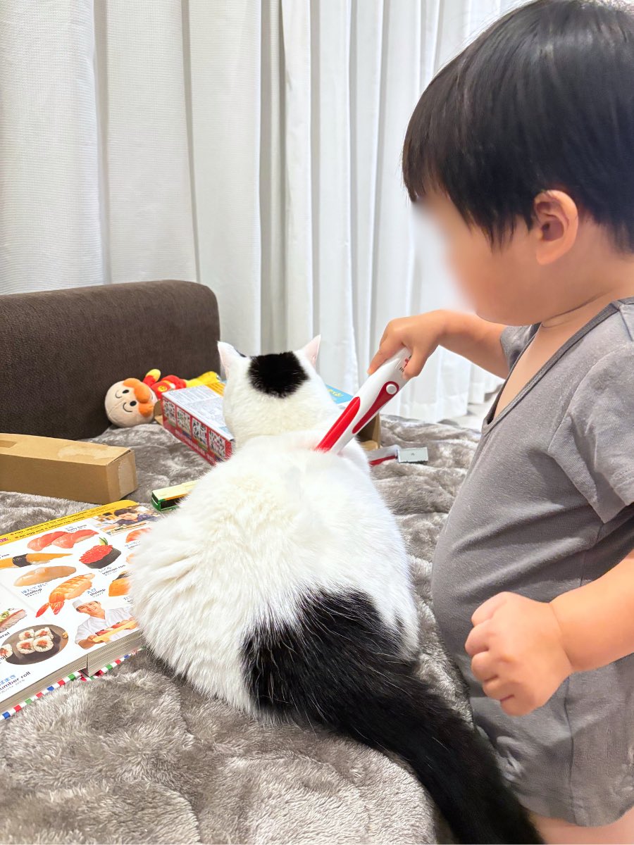 ずっと猫にタッチペンしてる