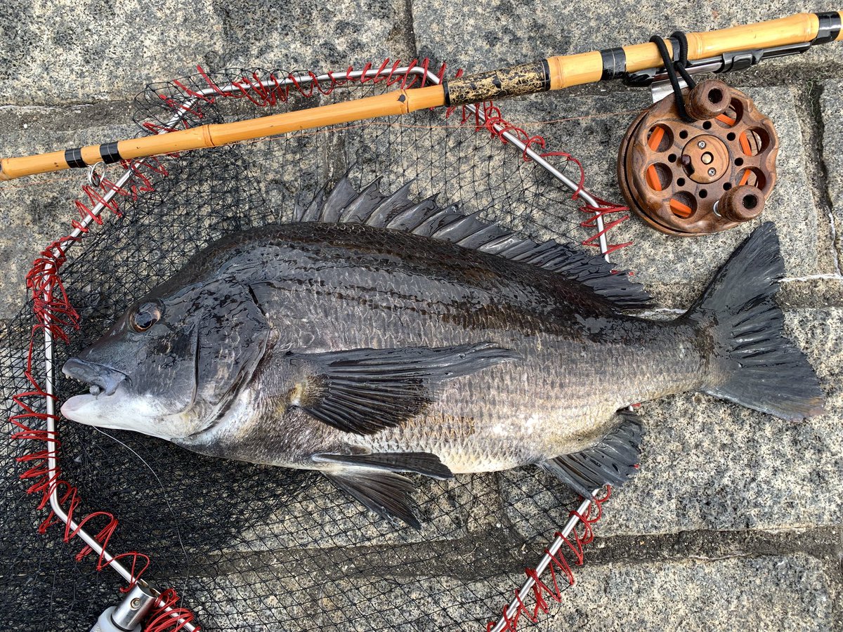 10-10-4
細糸でゴリ巻きはもうしません