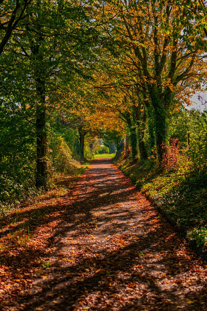 MESSAI_Bill's tweet image. Good Wednesday🍂 #WednesdayVibes