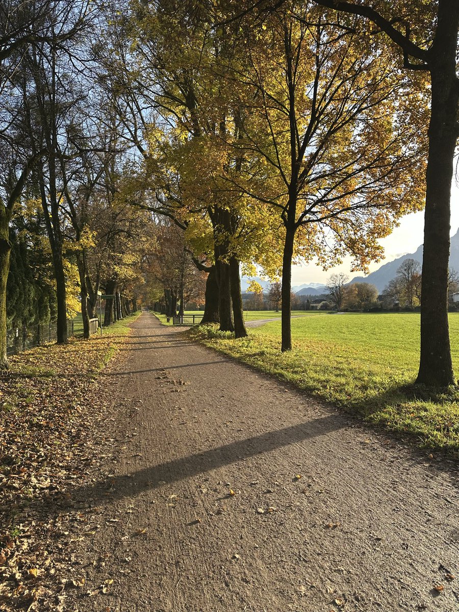 Pro Tipp : in den farmpausen von #DiabloIV und #pathofexile2 einfach rausgehen :)