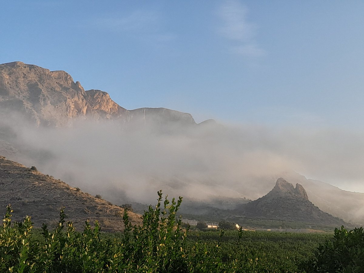 CTeando's tweet image. Hoy, las nubes juegan con mis montañas Maestro Aguayo 🙃🩰

Siempre es un placer reencontrarse con miembros del #ComandoAurora @Auroragilbo