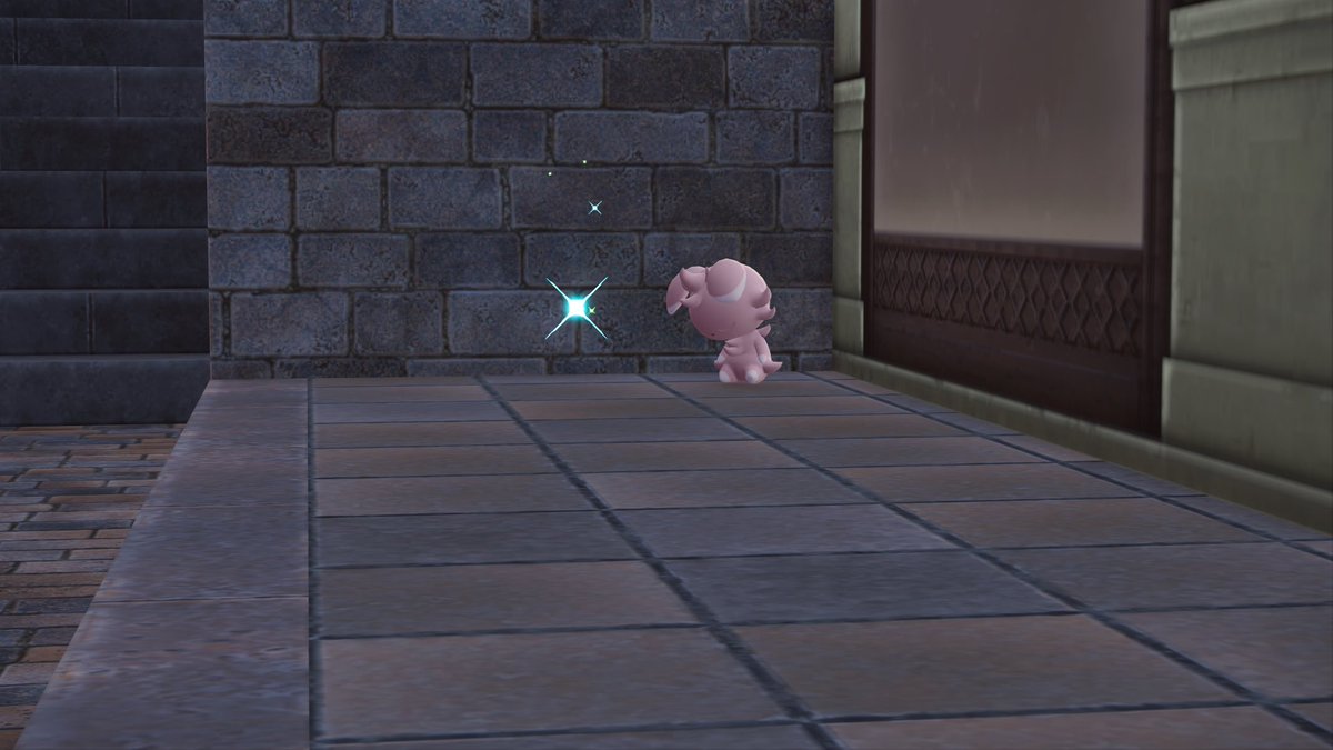 ruruksd's tweet photo. 色違いニャスパー🥺︎︎🫶
ねてるのかわいい https://t.co/QQuKGz4FRm