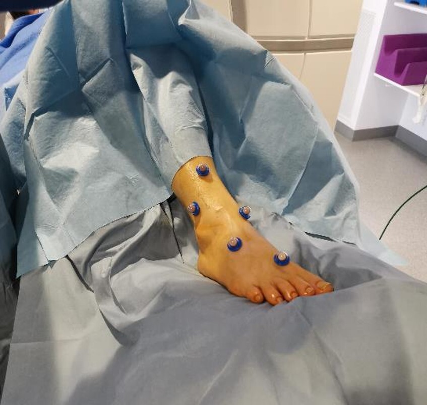 CASCINATION tweet media