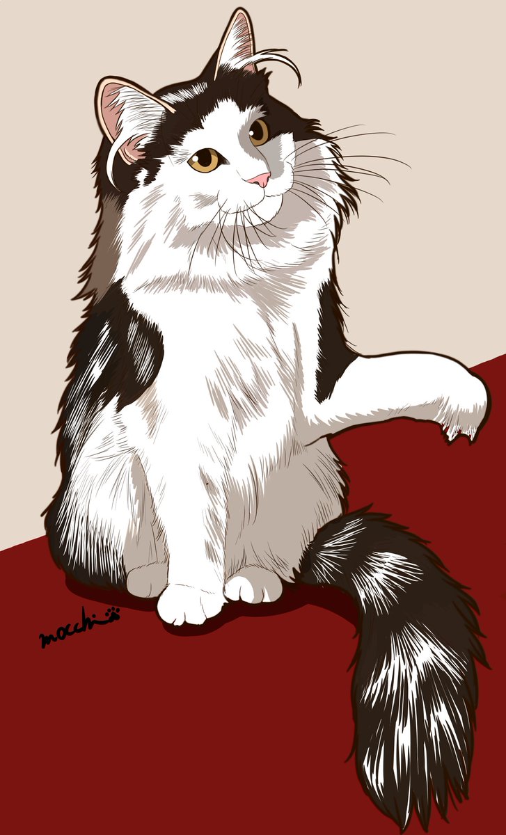 もっち（mocchi） (@mocchimocchi09) / Posts / X