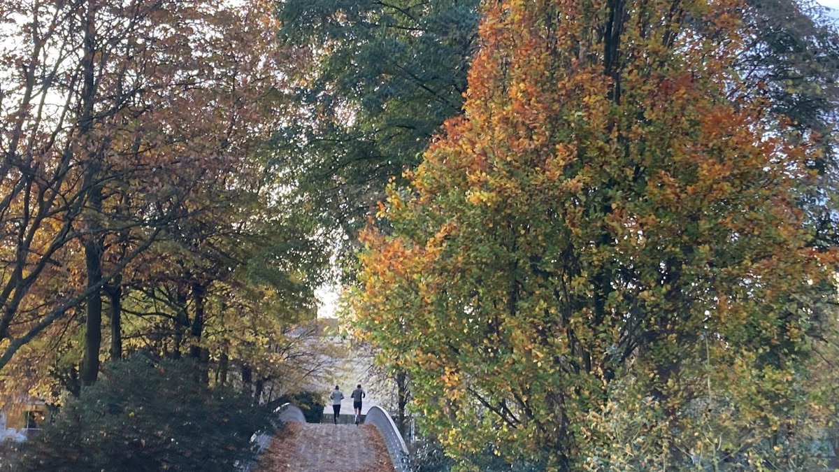 Morning walk #rotterdam