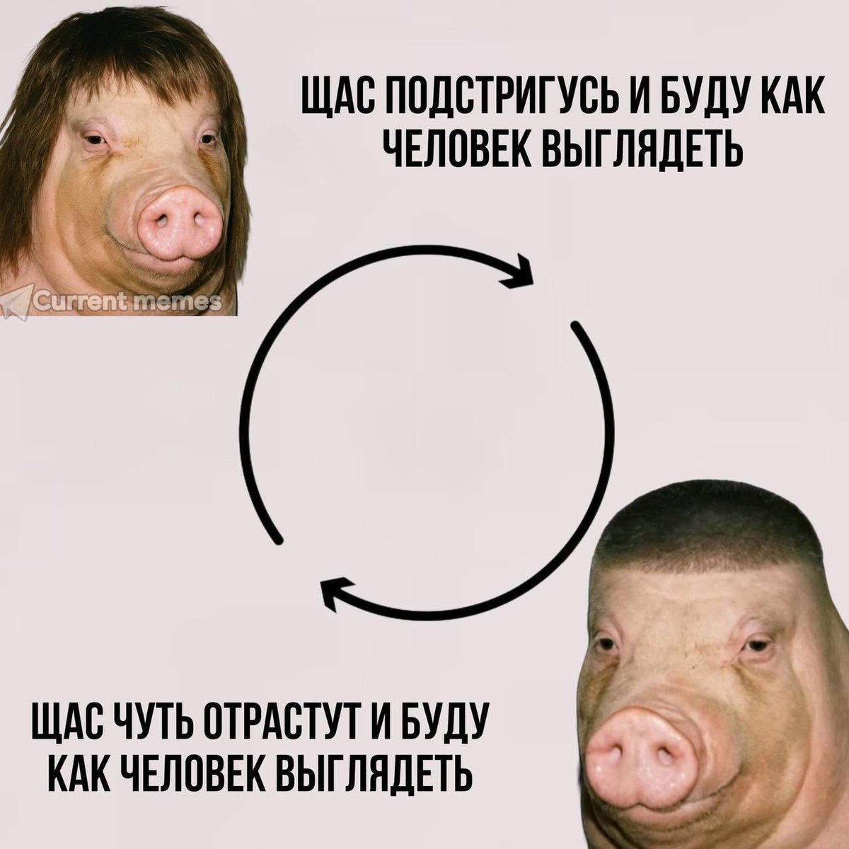 Nikolay Ostrovsky (@nkostrovsky25) on Twitter photo 