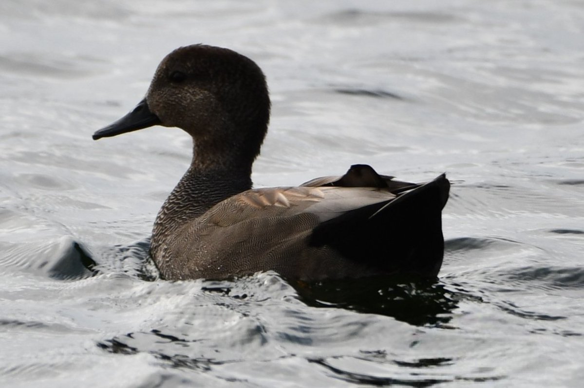 J@a.p (@jose_ap19) on Twitter photo 