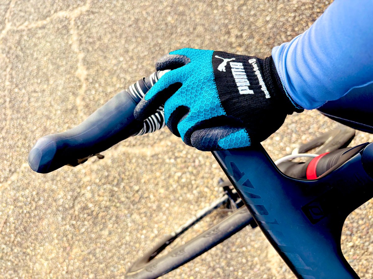 きくりんちゃん (@kool123455) / Posts / X