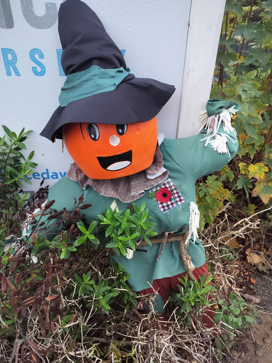 Sally Millington tweet media