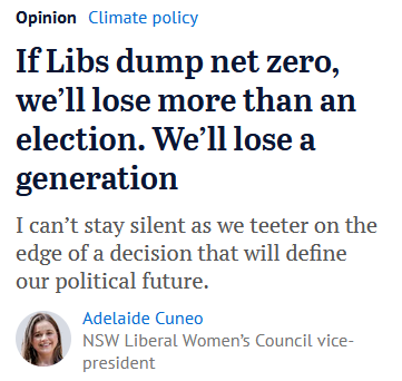 adamnicotera's tweet image. &quot;I can’t stay silent as we teeter on the edge of a decision that will define our political future.&quot;

#auspol #Libsplit #Libspill