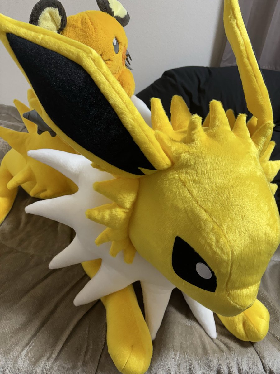 tapioka714's tweet photo. 等身大サンダース届いた
でけえ！さいこう https://t.co/JPjAIkXQqb