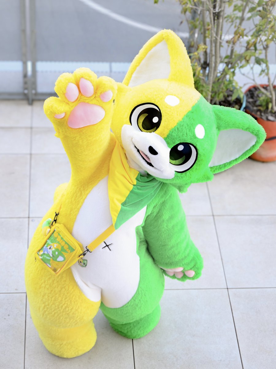 あの時助けていただいた
初心者マークです🔰